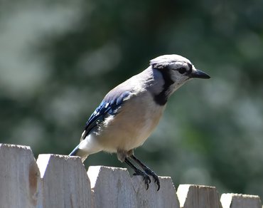 post-4