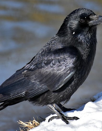 slider 1